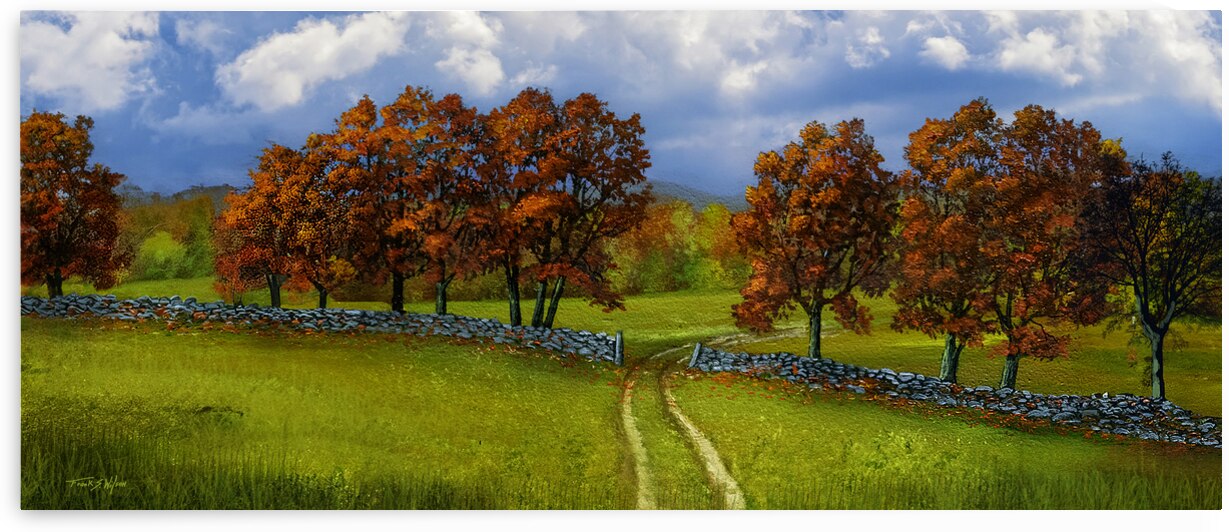 Autumn In Vermont by Frank Wilson