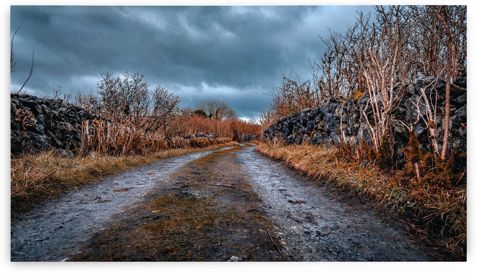 Burren National Park by Massey Original