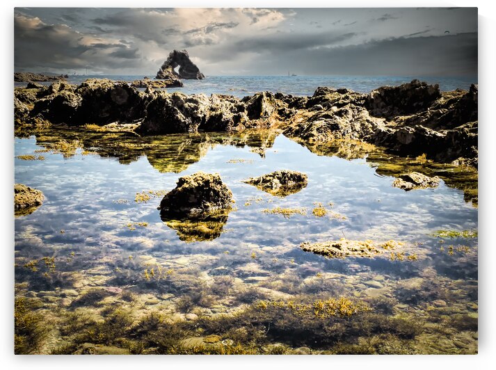 Little Corona del Mar Tidal Pools by Norma Brandsberg Photography