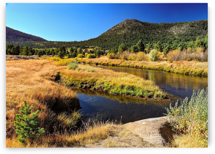 Lake Tahoe Desert Grass Marsh by Norma Brandsberg Photography