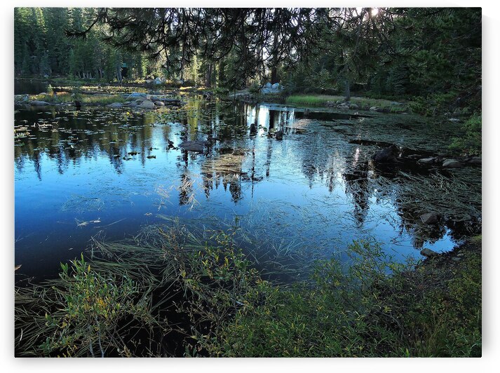 Sierra Mountain Pond Evening Reflections by Norma Brandsberg Photography