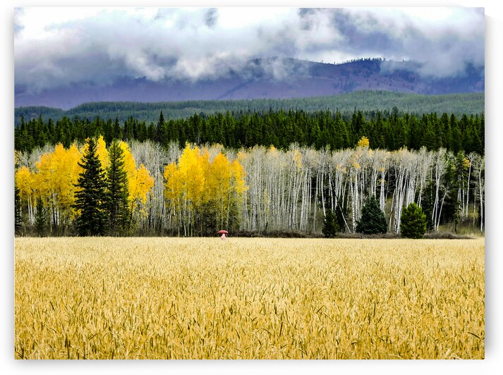Teton Red Umbrella by Norma Brandsberg Photography