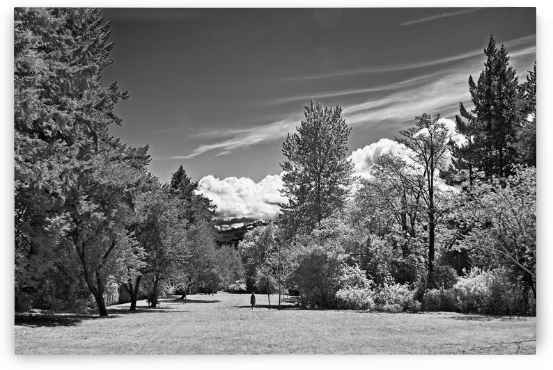 Port Augusta Park by CRB Images Photography