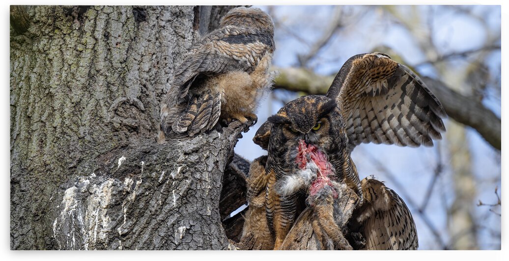 DSC 3765 by David Northall