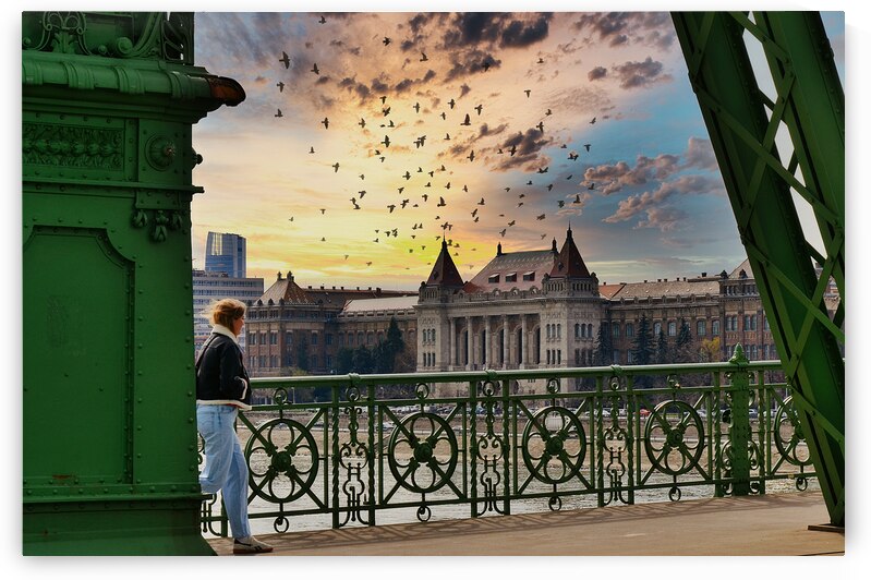 Woman On thr Bridge by Ehtiram Mammadov