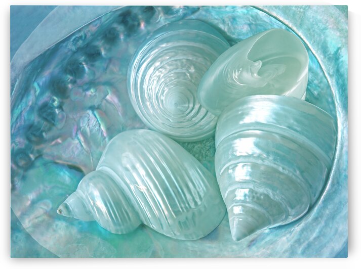 Ocean Pearl Treasure by Gill Billington