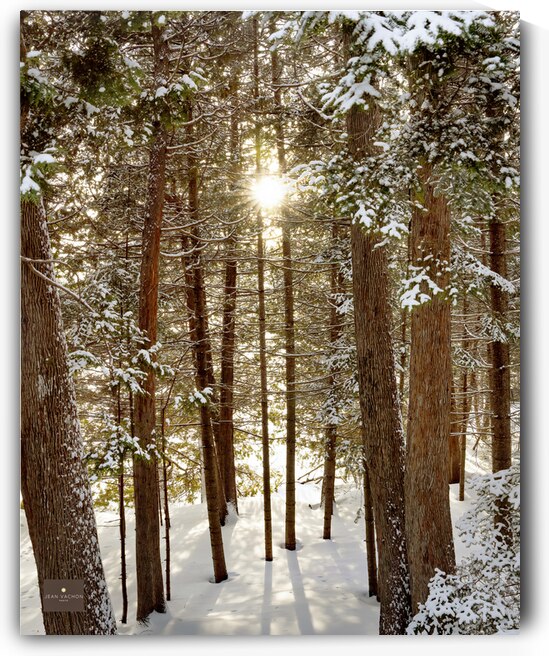 Les Piliers de la Terre by Jean Vachon Photographe