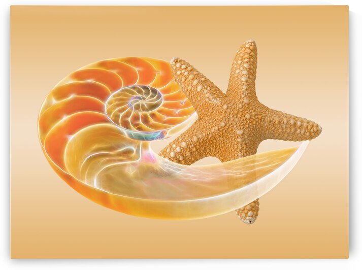 Sand Treasure by Gill Billington