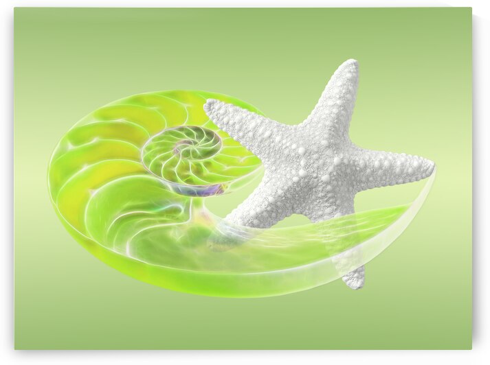 Ocean Fresh by Gill Billington