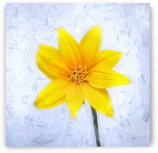 Happy Sunflowers Helianthus X130 by Rich Franco