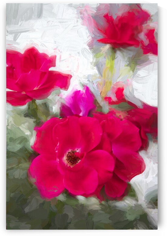 Red Knockout Roses X100 by Rich Franco