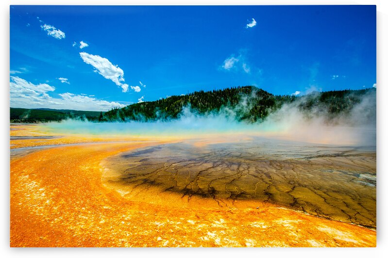 Yosemite National Park by One Simple Gallery