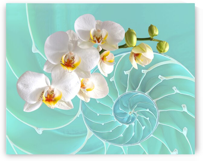 Intimate Fusion in Turquoise by Gill Billington