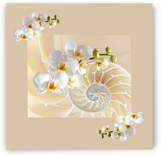 Natural Fusion by Gill Billington