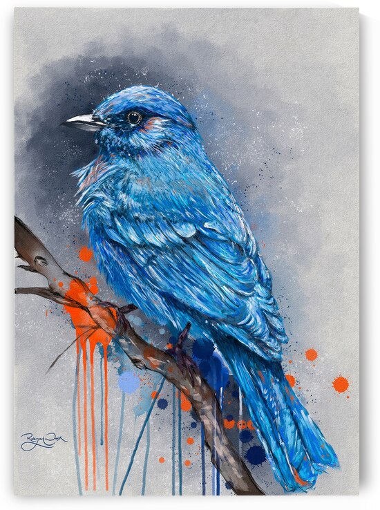 Blue Bird by RobzLipner