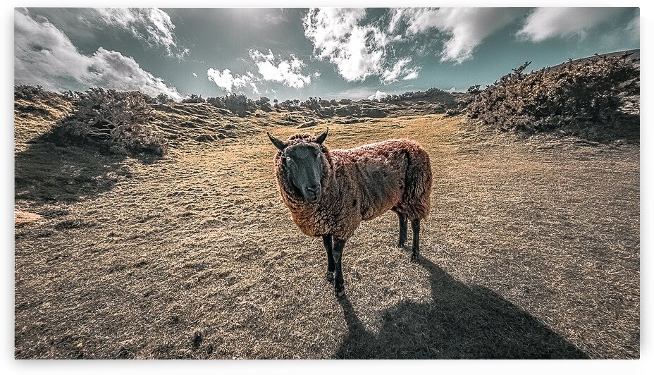 Faerie Circle Friend by Massey Original