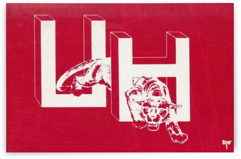 Vintage Houston UH Cougar Art by Row One Brand