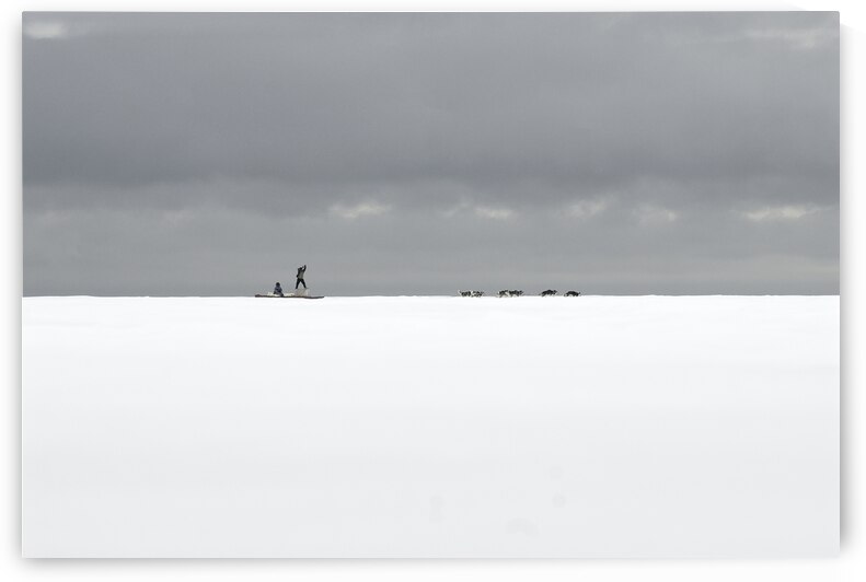 Dog Sled by Riley Fine Art Photography