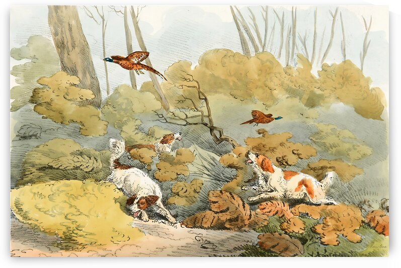 Dogs Chasing Pheasants in 1817 by Row One Brand