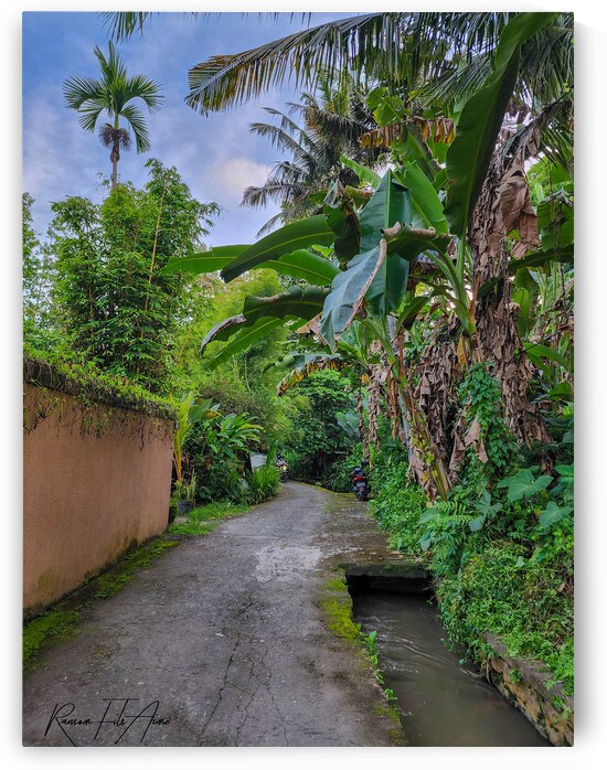 Way to Nayla Villa  by DomaraArtscape