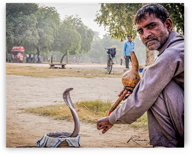 Snake charmer   by DomaraArtscape