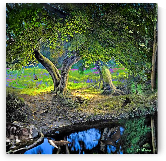 Summer Day by Artifactor Studio