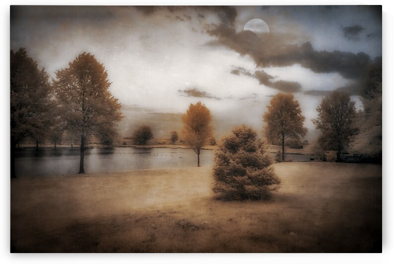 Moonlight Dreaming by the Lake  by Dream World Images