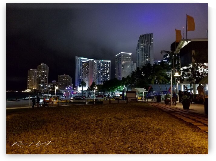 Bayside by DomaraArtscape