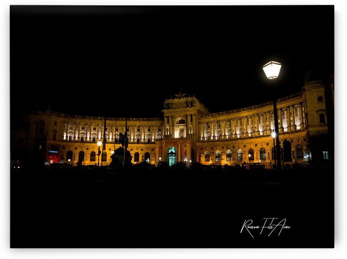 Gov. Bldg. Vienna   by DomaraArtscape