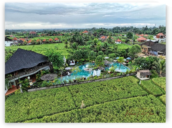Ubud openfield   by DomaraArtscape