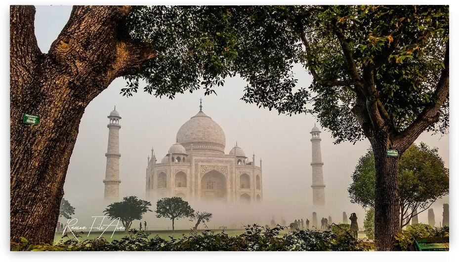 Taj mahal in the trees S by DomaraArtscape