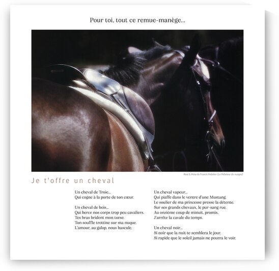 JE T OFFRE UN CHEVAL by Francis Pelletier