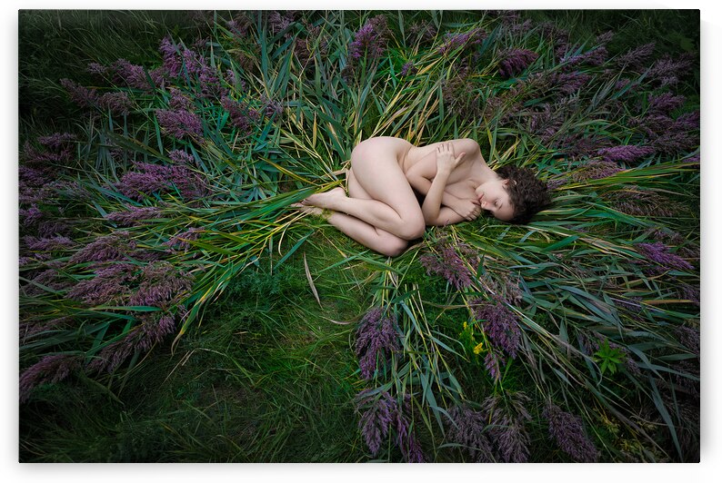 Symbiose by Claude Frenette