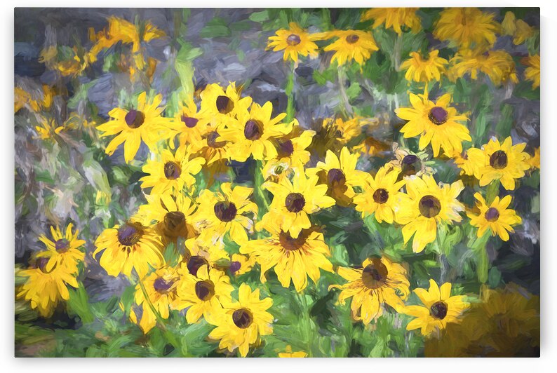 Yellow Coneflowers Echinacea x100  by Rich Franco