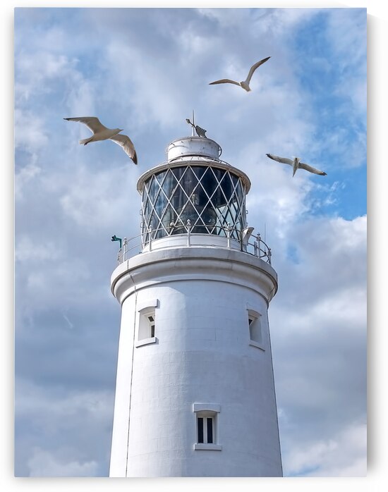 Fly Past - Seagulls Round Southwold Lighthouse by Gill Billington
