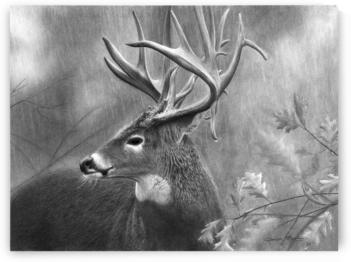canvas rainydays_18x24 by CRB