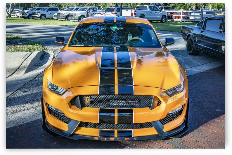 2023 Twister Orange Ford Shelby Mustang GT350 X 7 by Rich Franco