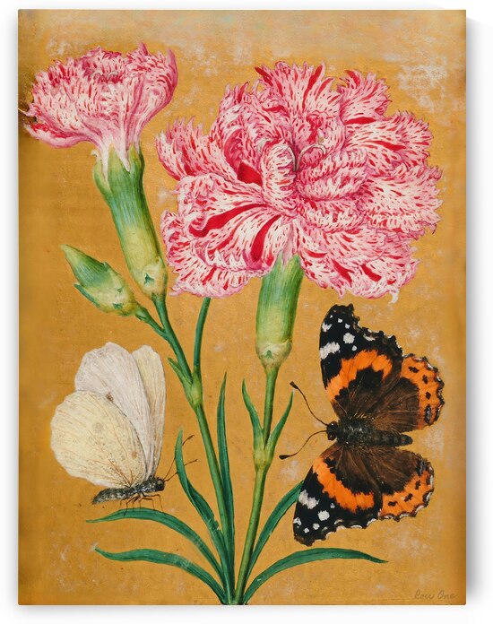 Paintings of Flowers Butterflies and Insects Circa 1550 by Row One Brand