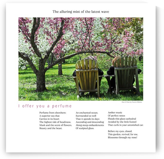 I OFFER YOU A PERFUME by Francis Pelletier