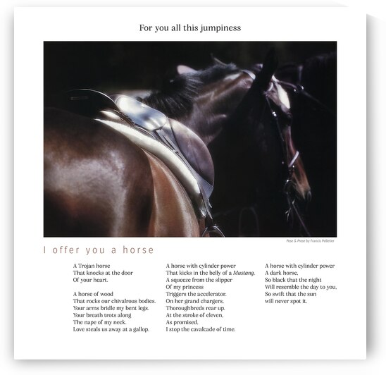 I OFFER YOU A HORSE by Francis Pelletier