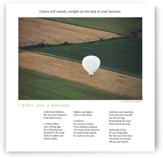 I OFFER YOU A BALLOON by Francis Pelletier