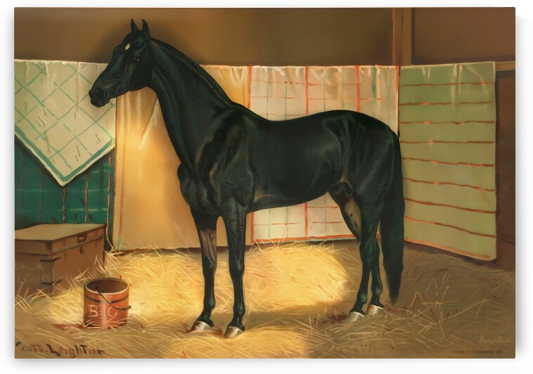 Black Cloud Horse Art by Row One Brand