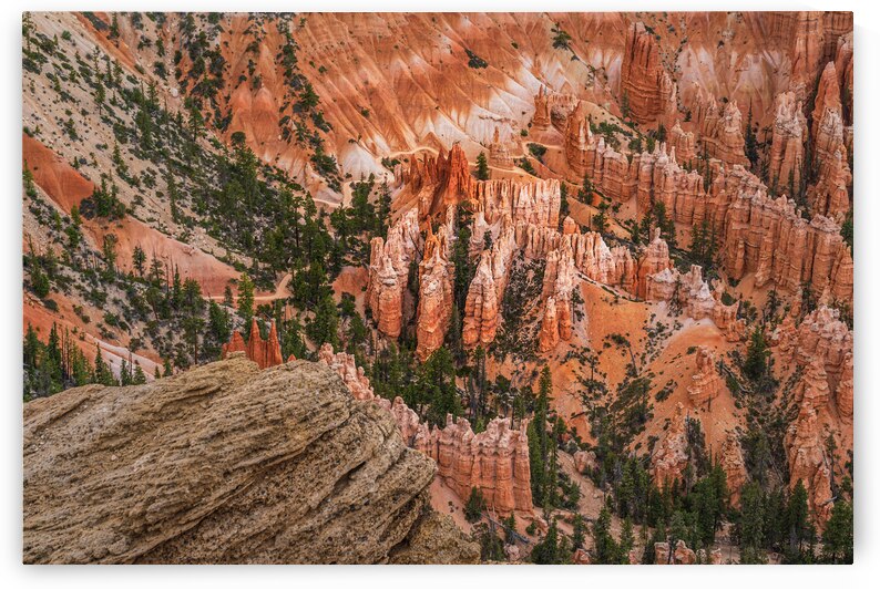 Into the Hodos by Geoffrey Prior