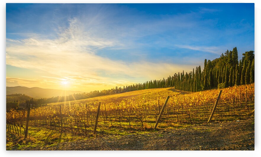 Chianti vineyards at sunset. Italy by Stefano Orazzini