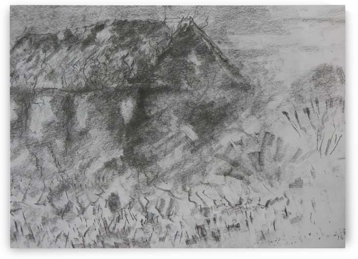 Desolation by Adrian Butt