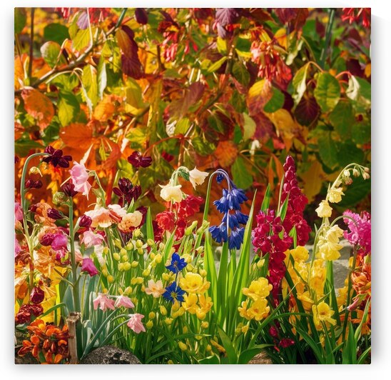 A stunning scene of a colorful garden in a jar  by Mostafa Mahmoud