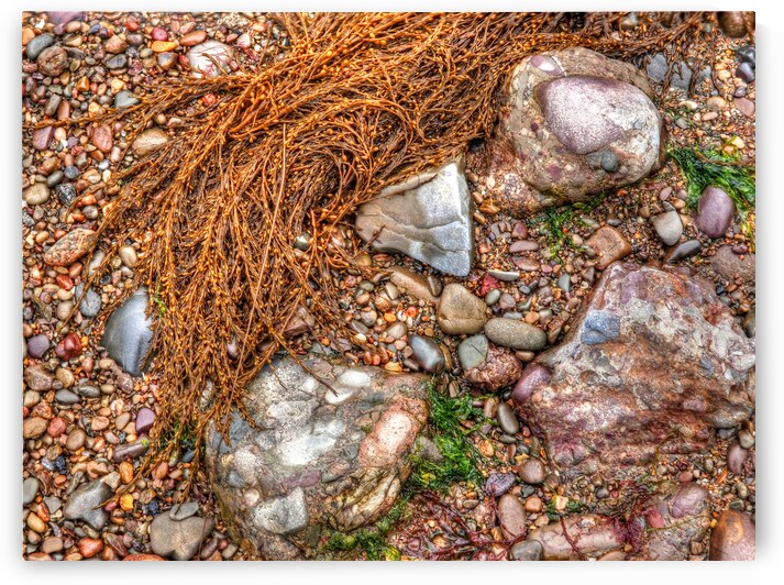 Pebbles On The Beach by Gill Billington