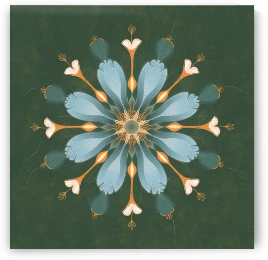 give your floral image a unique and clear diagram by Hidden codes