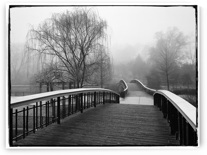 Misty Morn by Ricky A Richardson 