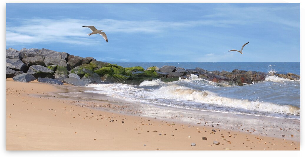 Summer Bliss - Coastal Panoramic by Gill Billington